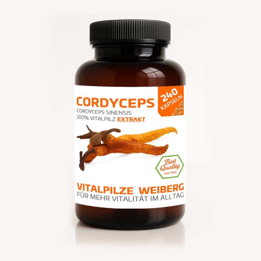 Cordyceps Extrakt, 240 Kapseln